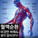 팔팔 두발로