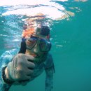 기타조형물 8 이미지