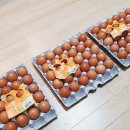 안일농장 이미지