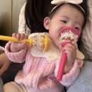[5-touch 오감발달코칭] 봄학기 수강후기