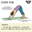 요가다운