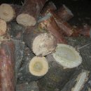 황토찜질방 이미지