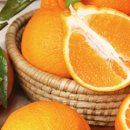 광은농장 이미지