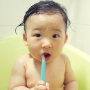 베이비쿤