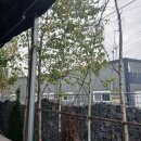 퍼스트커피랩 양주카페점 | 퍼스트커피랩 양주카페점 카페 추천