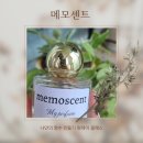 메모센트 향수공방 후기, 나만의 향수 만들기 체험 솔직 리뷰