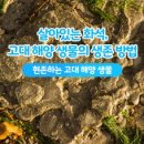 자연SCIENCE 이미지