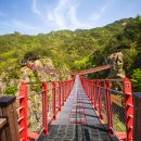 출렁다리(4) 이미지