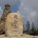 함백산 여름산행(16.7.31/토)으로 야생화와 멋진 주목을 보다 이미지