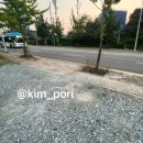 에브리댕댕 이미지