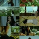 THE BLACK PC | [공지] The second spring market '3/8-3/15' 1차 기간동안 주문 시 5만원 이상 무료배송 이벤트!