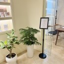 포항 장성동 여드름 관리 이유앤스킨 1:1 맞춤 문제성 피부관리 리스케어 후기