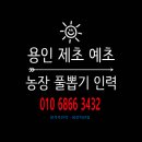 덕성농장 | [ 제초인력 ] 용인 처인구 덕성산단 공장 주변 제초작업 [ 용인인력 ] 일가자인력 - 용인처인점 [ 제초...