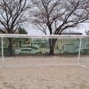 광양칠성초등학교 이미지