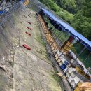 양구 벌꿀 이미지