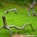 아프리카 박물관 이미지