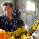 정영식농장 이미지