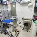 서울은내과동물병원 이미지