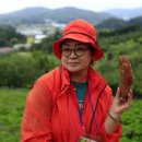원토농장 네이버블로그