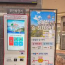 궁평항 광장_1, 2, 3 (옥외1) | 목포 해상 케이블카 북항 가격 할인 예약 유달산 고하도전망대 여행코스