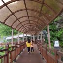 단양보건소 건너편 이미지