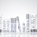 디엔메디칼 이미지