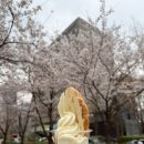 라리아 | 공덕 경의선숲길 소금빵 맛집 비아살라리아, 여러번 재방문한 내돈내산 후기