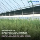 김진성농장 이미지