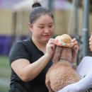 도그 스포지움 이미지