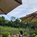 [울산]야외정원에서 티한잔의 여유🫖, 리틀 티가든(ft.행복한 찹쌀꽈배기)