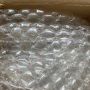 베고니아 5종 나눔 당첨 ????(<b>초코맘</b>님)