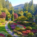 캐나다 서부 여행 6(부차트가든, The Butchart Gardens, 빅토리아, Victoria) 이미지