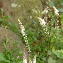 약초산방 이미지