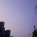 명성중고책