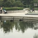 동교정육점 | 산동이공대학교(山东理工大学) 교환학생 part.11