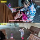 목마송이 이미지