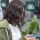 멍묭실 | 묭실 유목민 탈출 선언! 로이드밤 드디어 입성 후기