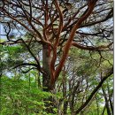 성지산공원 이미지