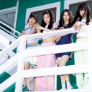 비비게러지 이미지