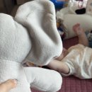 코끼리언니 | 건드 코끼리 인형 내돈내산 후기 신생아 애착인형으로 괜찮을까