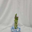 그림책 원예 활동 이미지