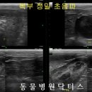 닥터스종합동물병원 이미지