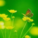 하얀도화지 이미지