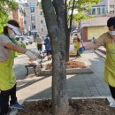 정발산동 행정복지센터 이미지