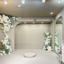 쵸이스 | 결혼준비, 시크릿웨딩 드레스 긴팔 초이스 후기(추가금)