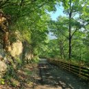 안개3길 이미지