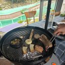 정선펜션 1박2일 | [정선 드위트리 펜션 후기] 실제로 다녀온 1박 2일 실투숙 리뷰 ✨