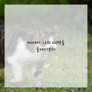 장르별 글쓰기(소설) 이미지