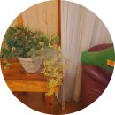 똘내미집 이미지