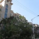 분당-373 이미지